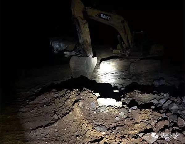 昆仑行动保健食品事件,2019年昆仑行动假药事件