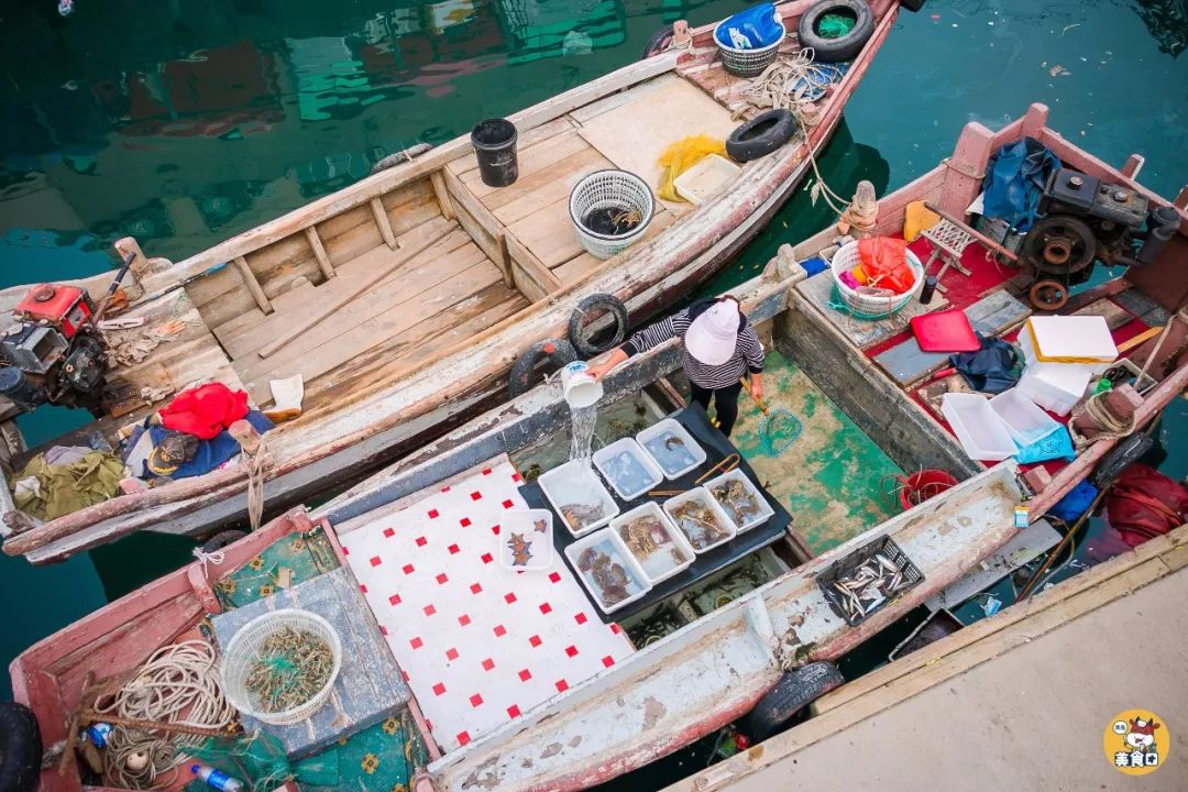 小港码头有蛏子吗,小港码头吃海鲜俱乐部电话