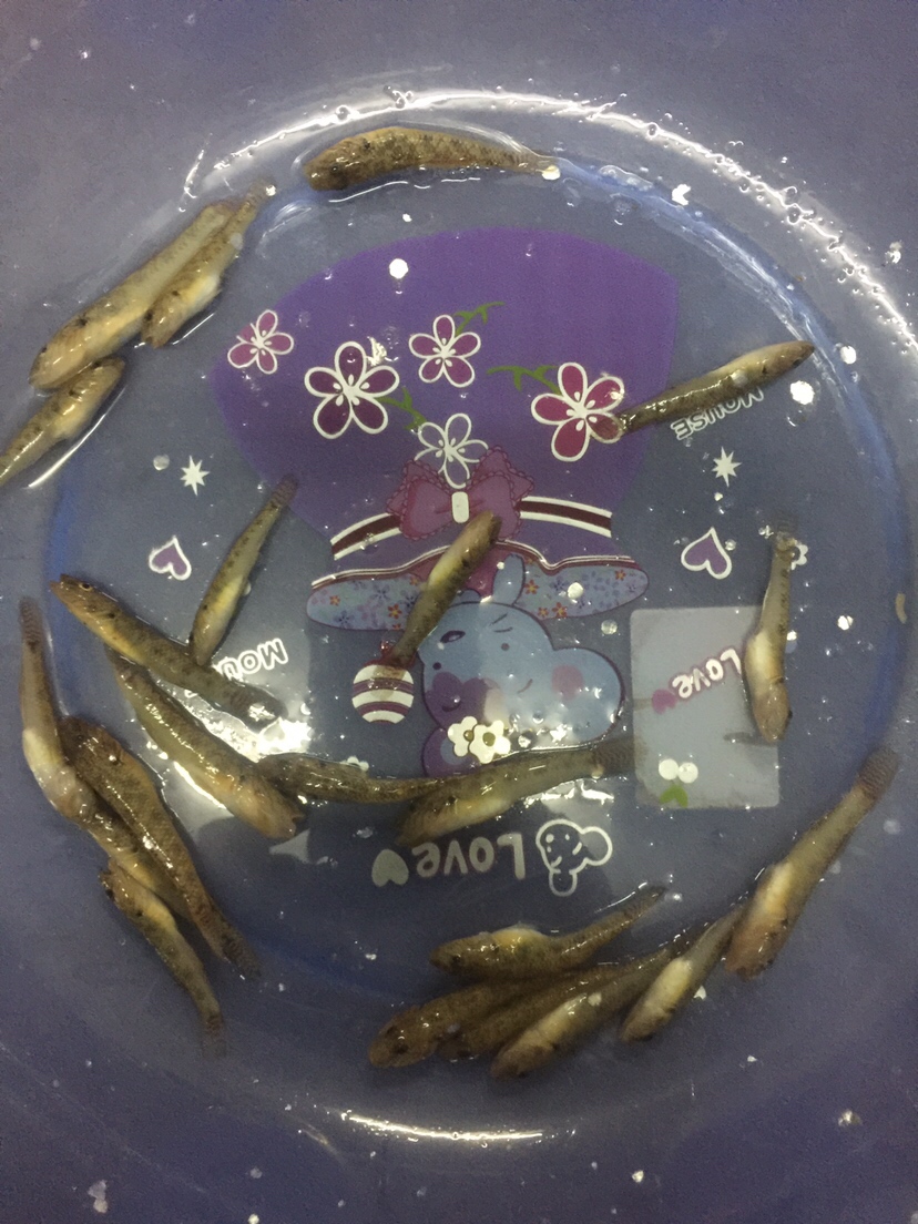 好久未发说说,好久没发过朋友圈的句子