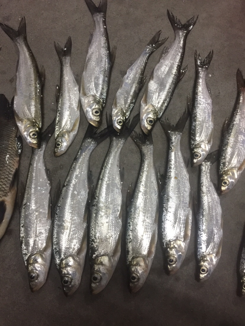 好久未发说说,好久没发过朋友圈的句子