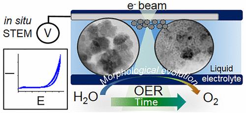 厦大NatureCat.，天大NatureCat.,催化前沿每周精选丨1014-1020