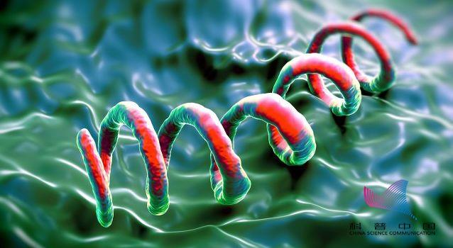 洗浴中心感染梅毒的可能性大吗,在浴池洗澡会感染艾滋吗