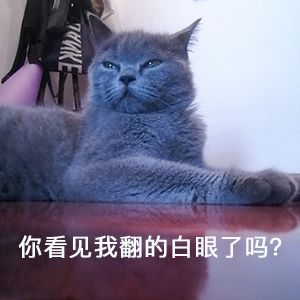 以婚恋为名骗财案例,闺蜜杀闺蜜案件视频解说