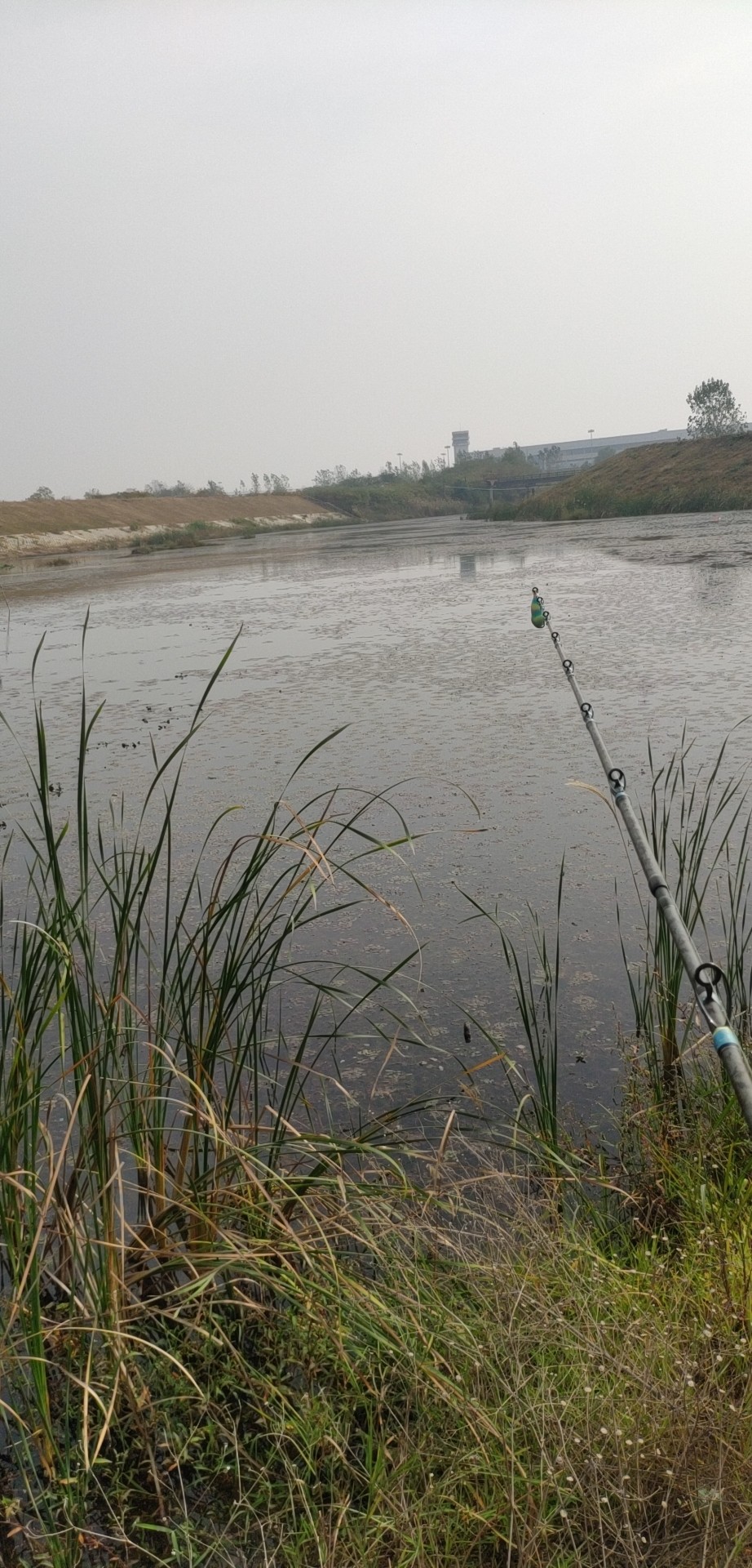 和钓友吃吃喝喝好不好,野钓与钓友