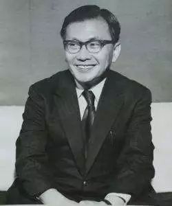 日本现代技术的发展历程,现代数学发展史简介