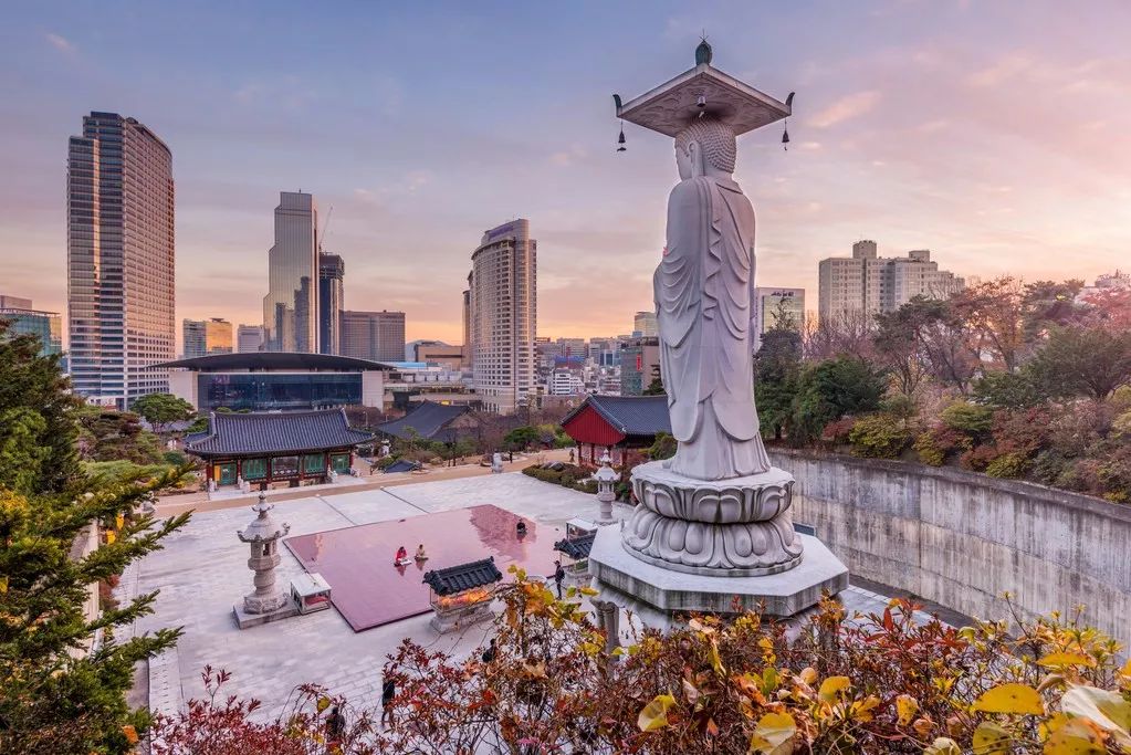 明天开始，海对面的这座城将为你“亮灯”