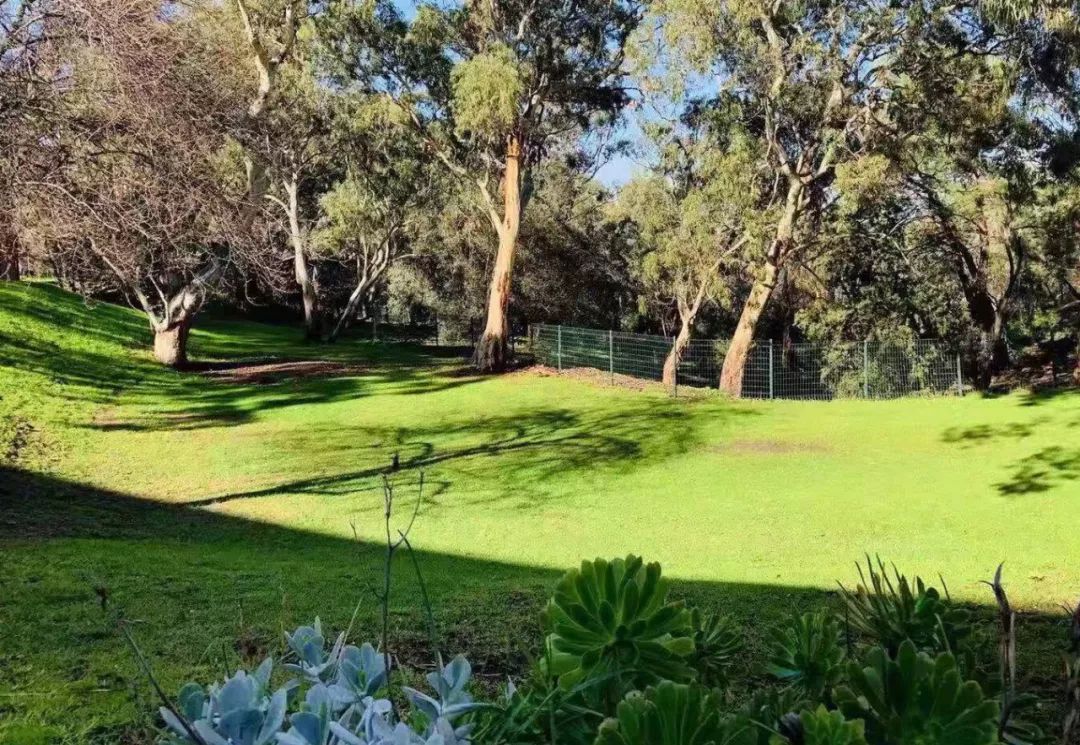 赴澳洲游学需注意事项,澳洲游学需要注意什么