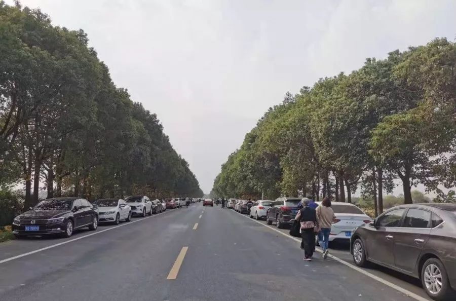 终于知道庆丰为什么火得不要不要的