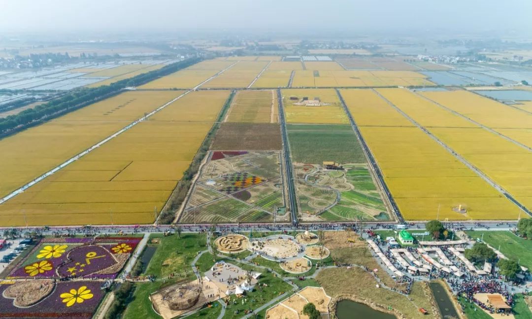 终于知道庆丰为什么火得不要不要的