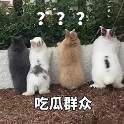 一家三口出行,司机竟是11岁男孩!母亲:他从小学场地赛车