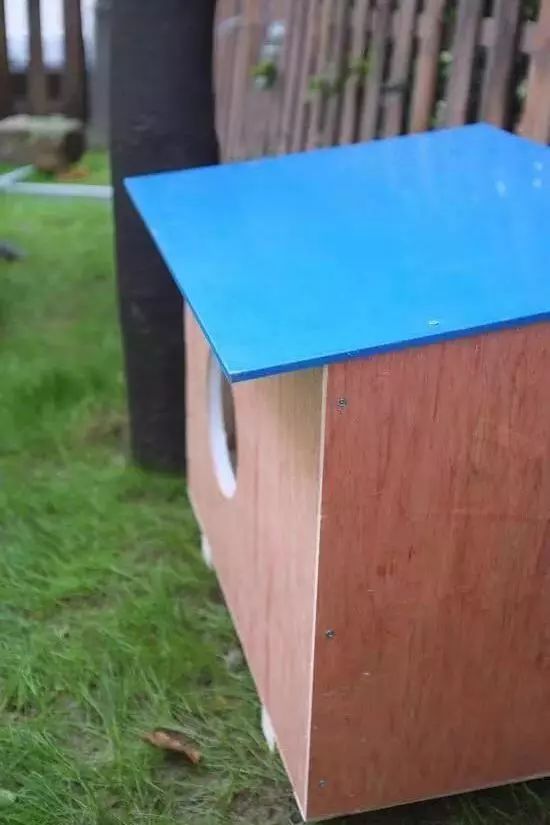 2019温暖继续！这是第七年CatS牌温暖冬屋，替猫咪们说感谢