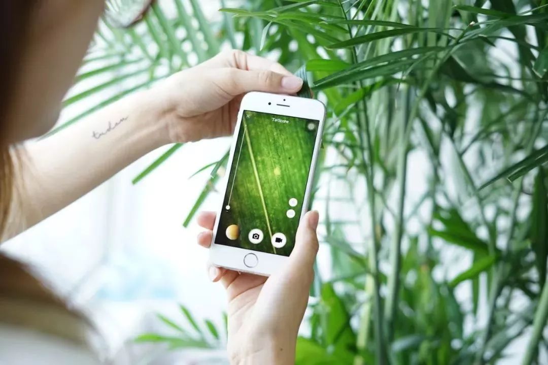 双11什么商品真正优惠,双11到底有哪些优惠