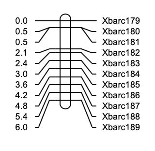 如何绘制交叉网状图,怎么快速画线性图