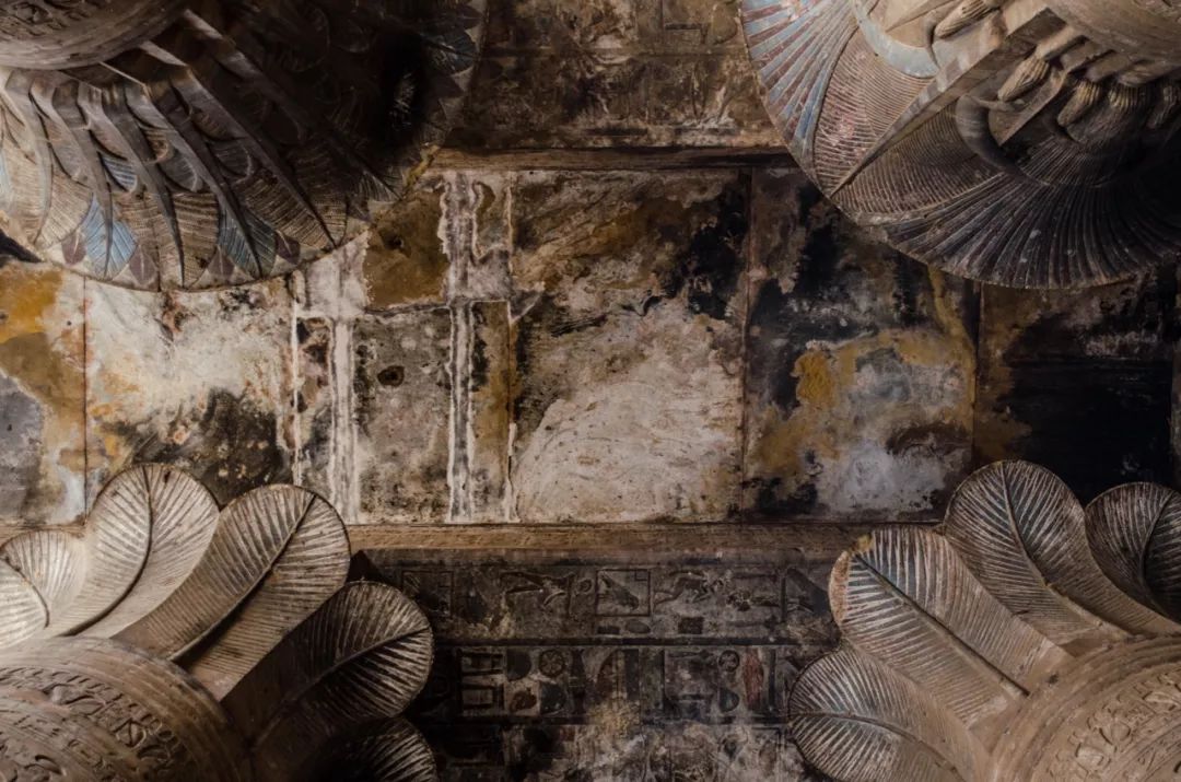 一半海水一半火焰在血液中奔跑,一半海水一半火焰在线阅读