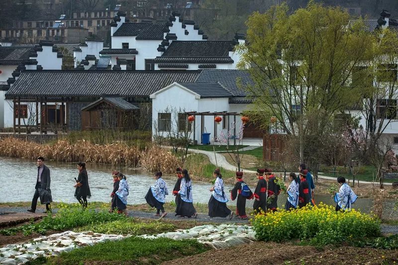 天呐！被南京这些路圈粉！