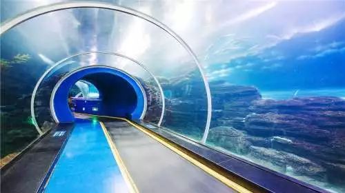 青岛崂山区海底世界门票,青岛海底世界门票单票