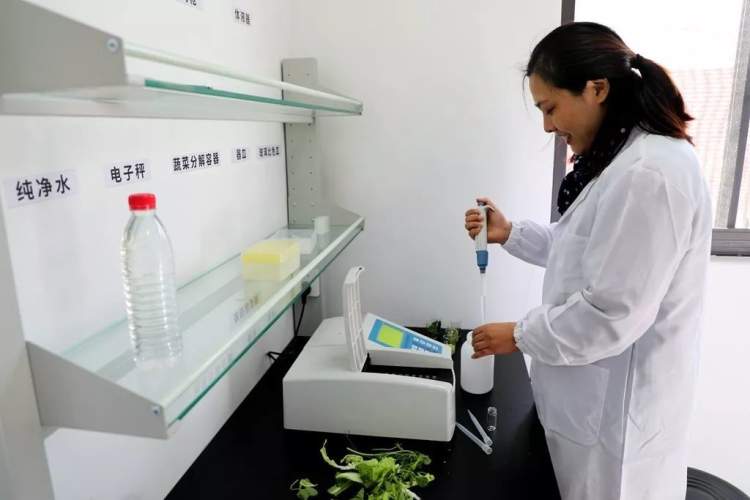 嘉定新开的菜场,高颜值菜场开业