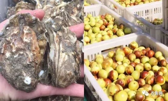 天猫双11山东花掉141亿！最爱买裤子、羽绒服、扫地机器人…