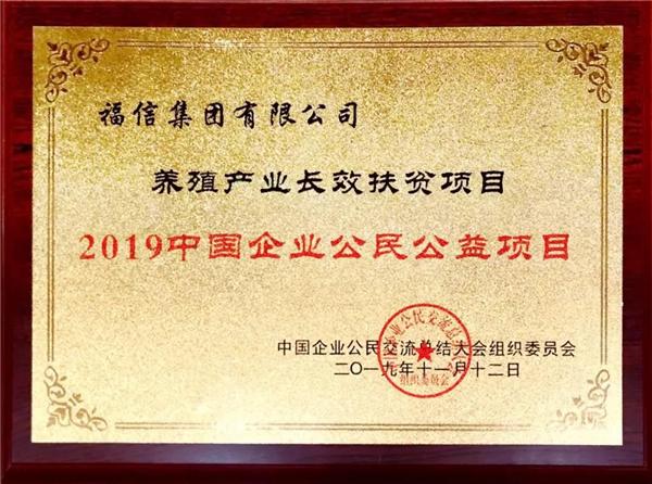 福信集团排名,福信集团怎么样