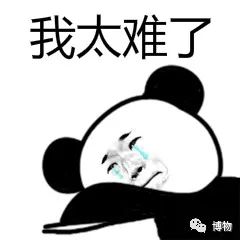 为什么维生素b有很多种,为什么维生素b有股味