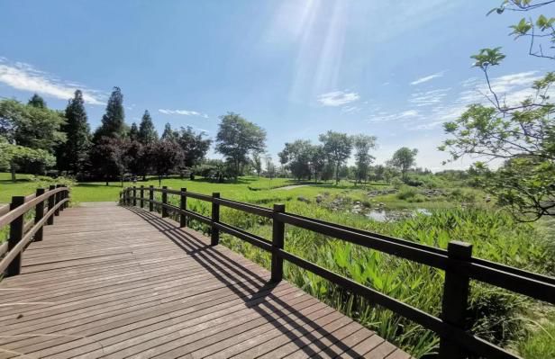 成都天府新区颜值最美楼盘,天府中央商务区楼盘