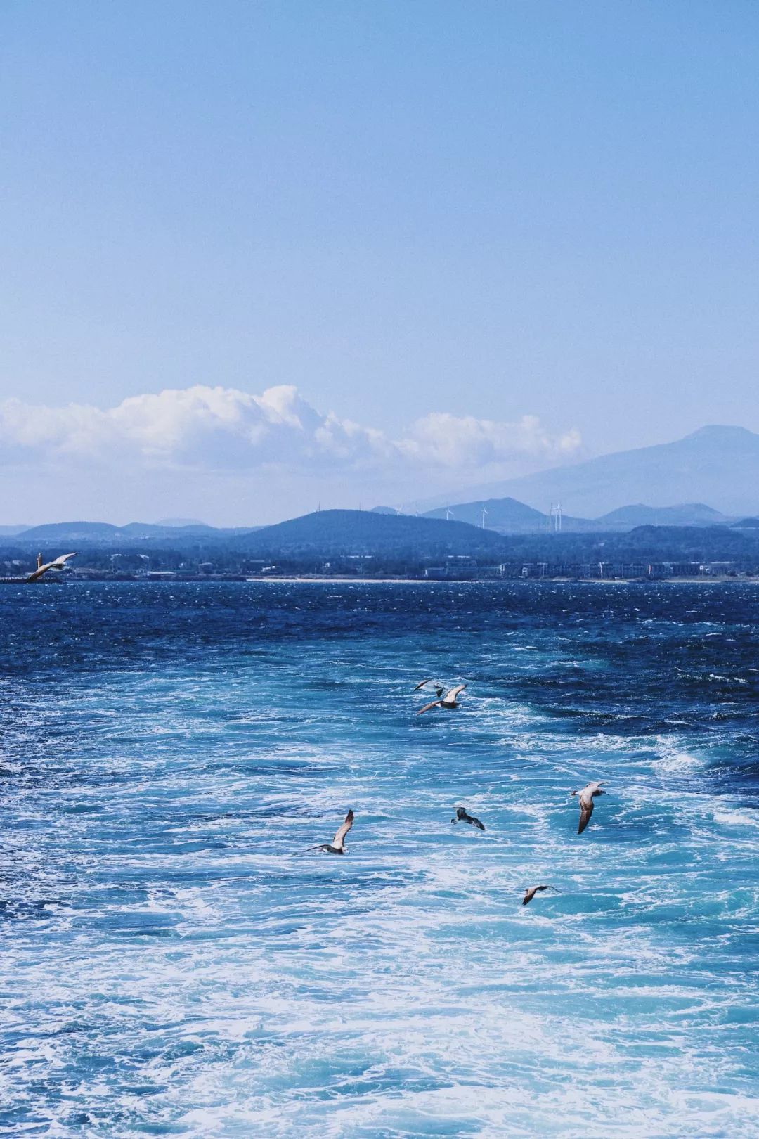 这座免签小岛，几乎出现在了每一部浪漫韩剧里