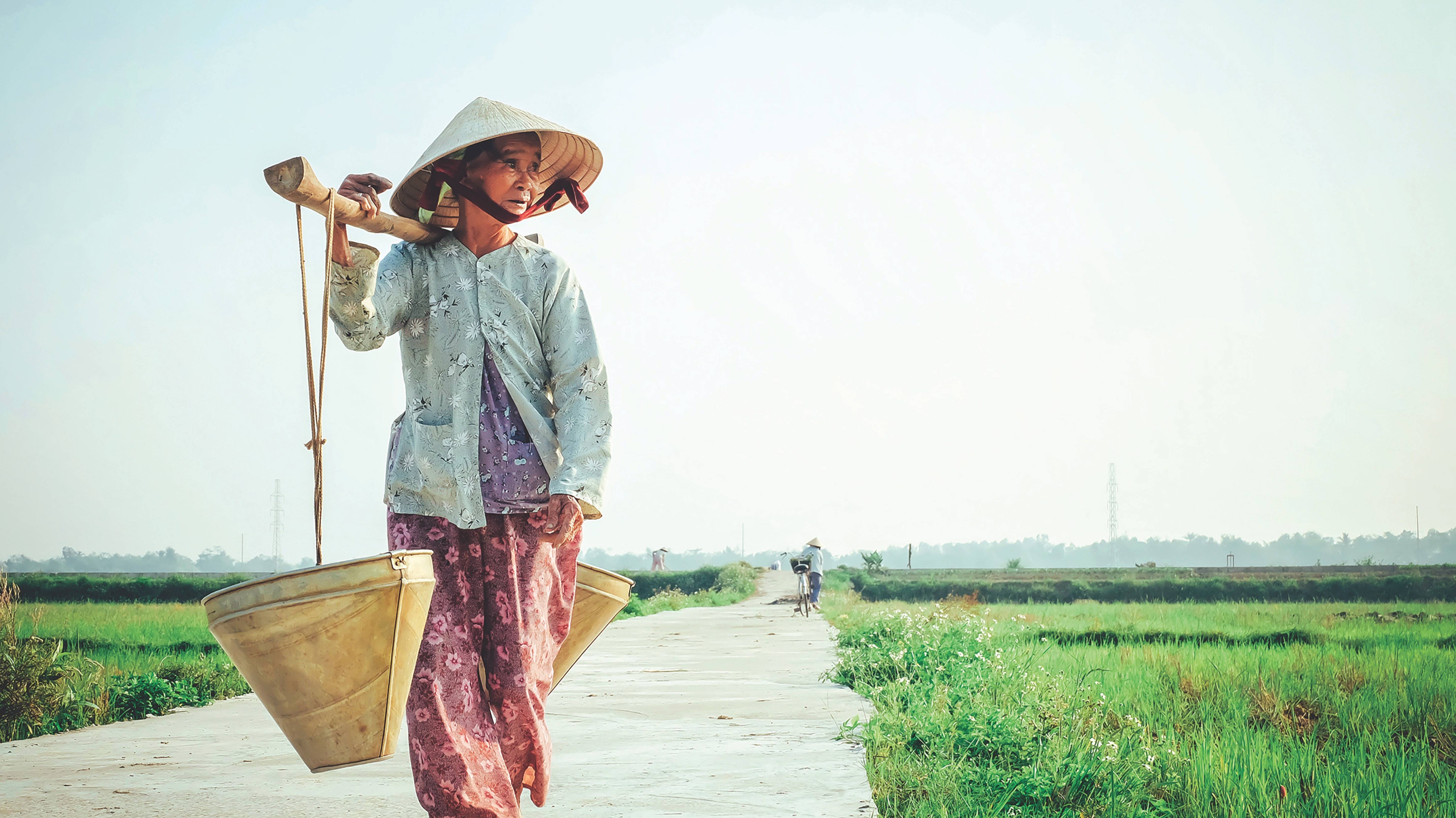 出海越南纪录片,去越南胡志明市最好去干什么