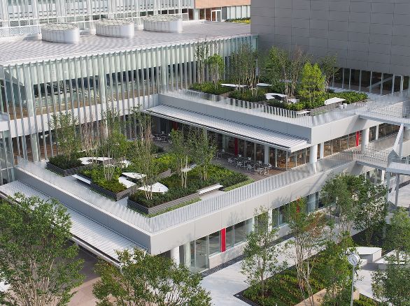 场地启发灵感“地尽其利”丨studioonsite事务所