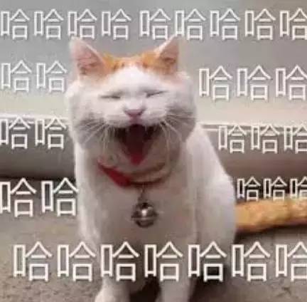 什么牌子的平替最划算,什么平替最强