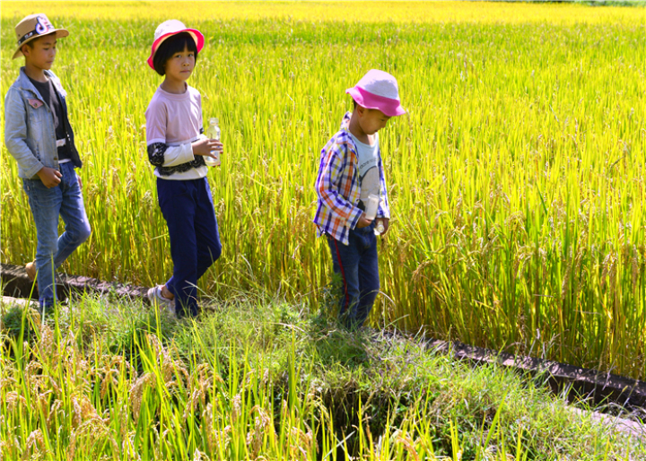 曹振华富源,富源金城路曹振华