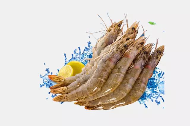 很多食物都有寄生虫,哪些食物也携带大量寄生虫