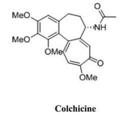 秋水仙碱真的很可怕吗,秋水仙碱已经禁用了吗