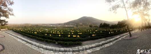 诸城示范村,诸城农业发展