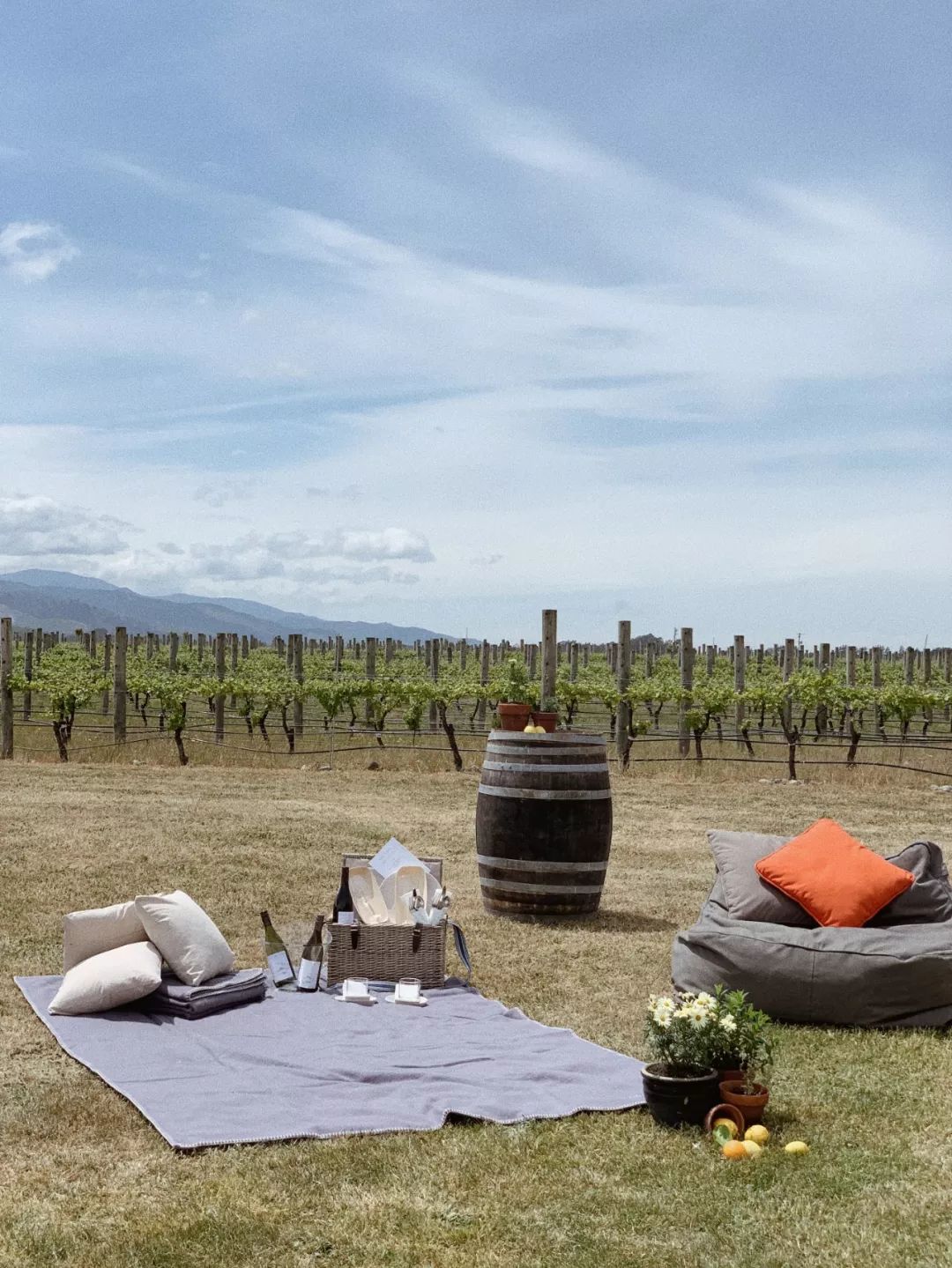 新西兰旅行的感受,新西兰旅游享受快乐每一天