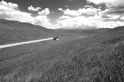 木里矿区综合整治,义海能源青海木里煤矿事件