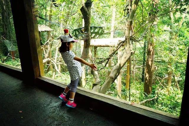 亲子游广州长隆动物园,广州长隆野生动物世界亲子游路线