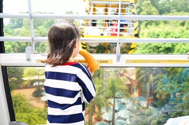 亲子游广州长隆动物园,广州长隆野生动物世界亲子游路线