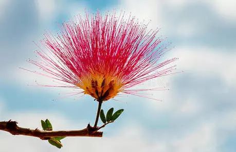 真正让你变美的护肤品高口碑,堪比大牌的护肤品