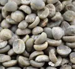 云南小粒种咖啡属于什么品种,咖啡品种最好的小粒种咖啡是什么