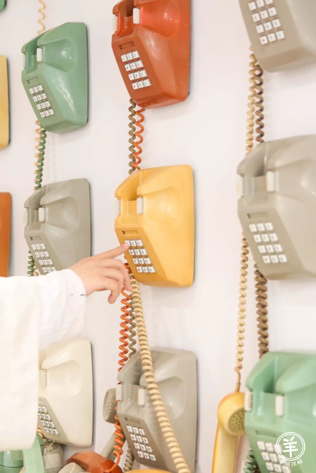 广州第一饭团蛋糕,广州饭团蛋糕