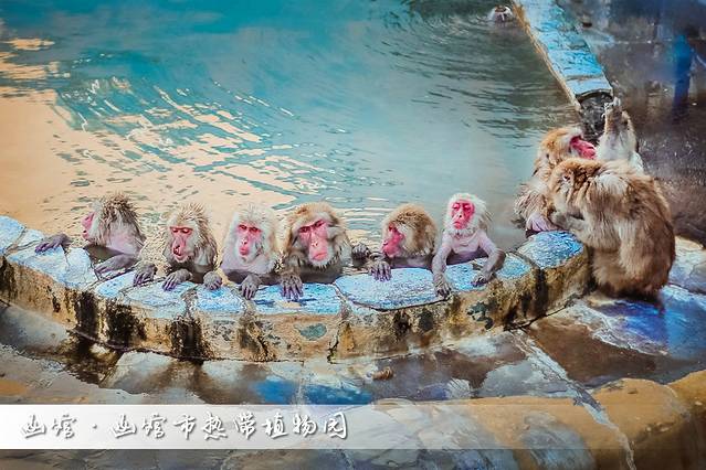 北海道冬季自由行游记,北海道情书