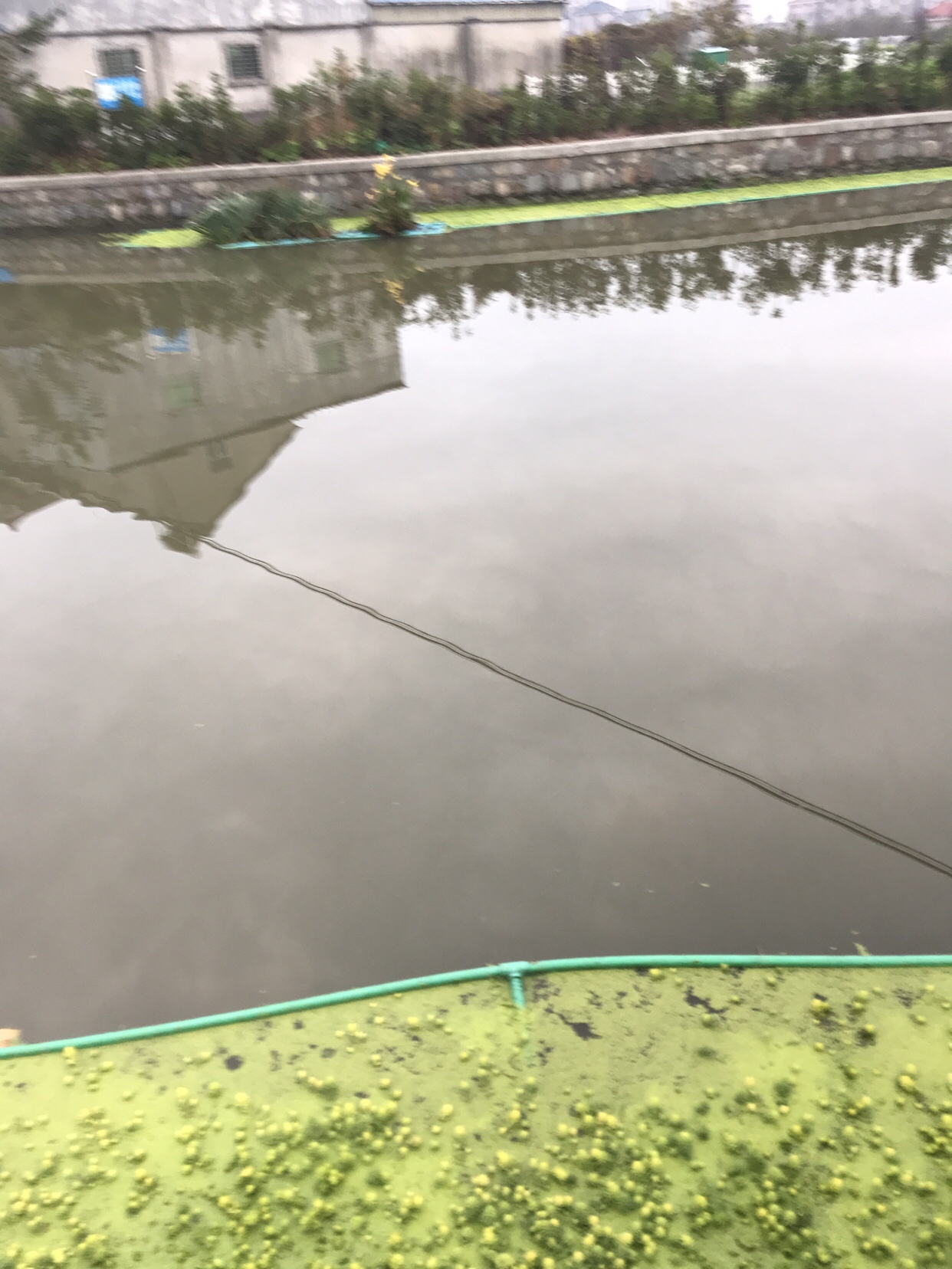 野钓垂钓实录,野钓钓鱼视频实战