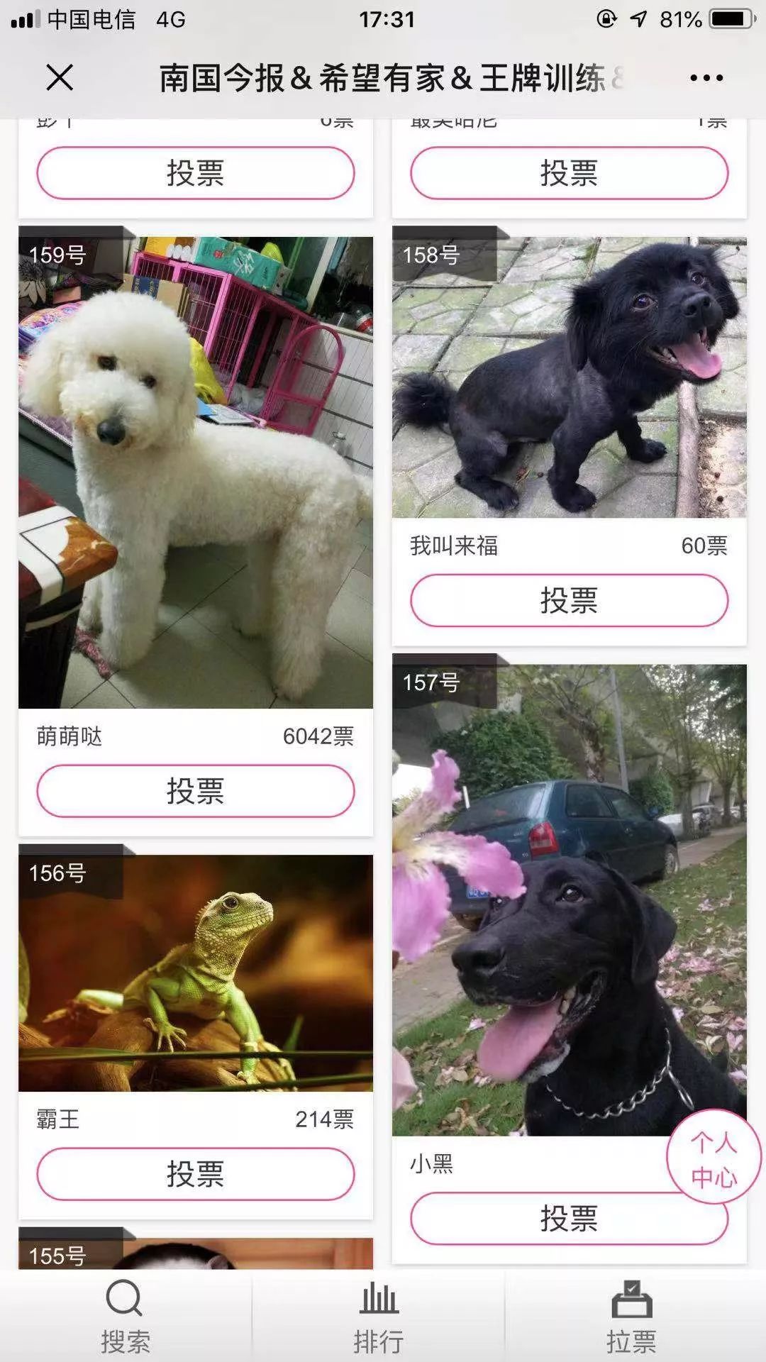 惹蜘蛛,惹了蜘蛛蜘蛛会记仇吗