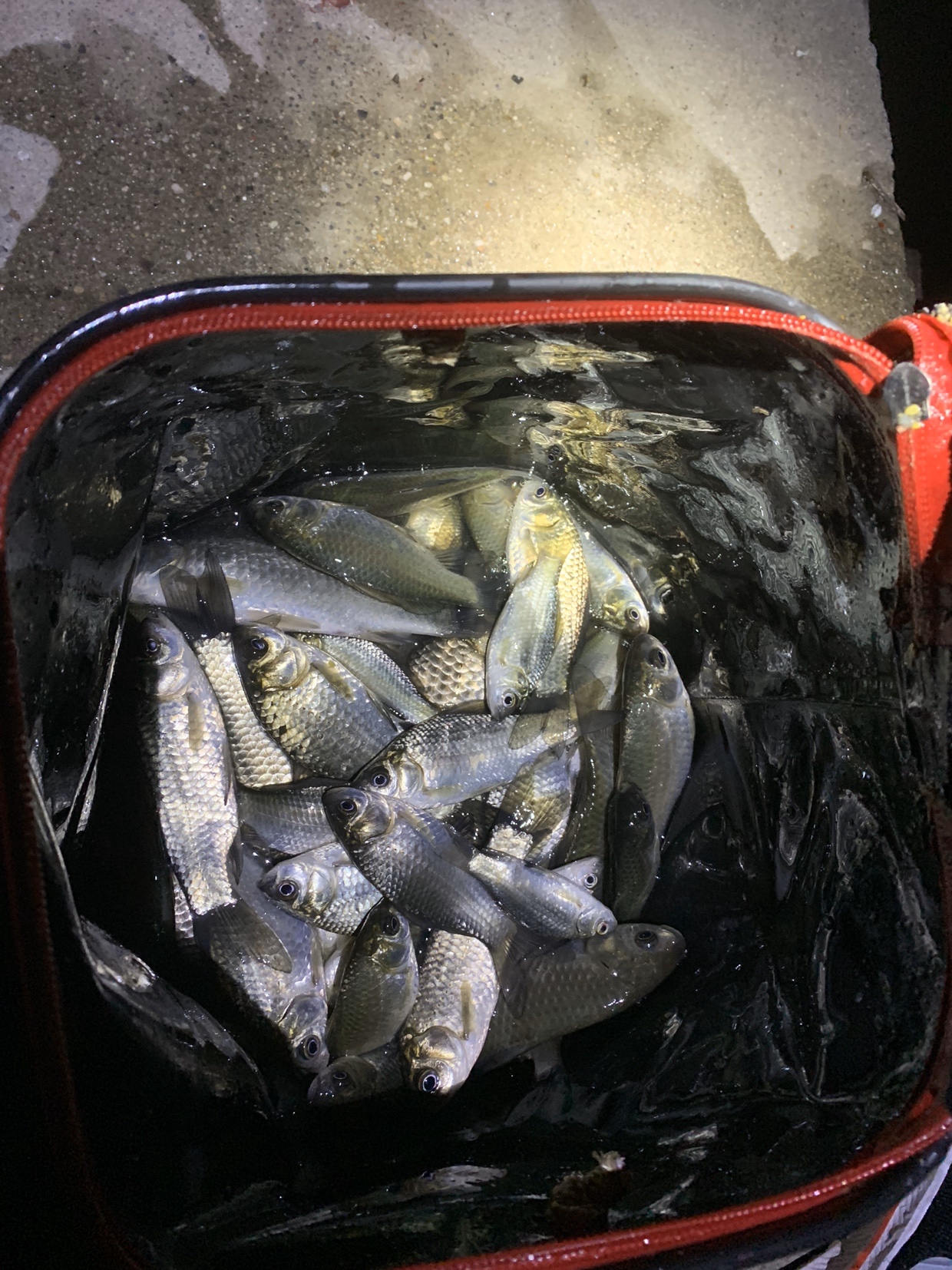 禁不住诱惑去开光，马马虎虎算成功