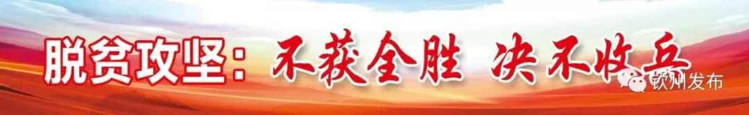 区运会钦州足球队,广西锦标赛足球钦州