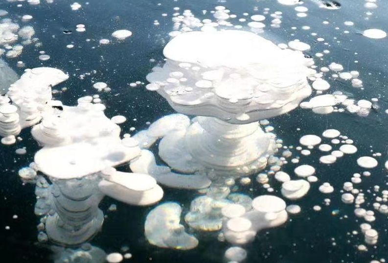 科学家发现逆转衰老基因疗法,新型基因治疗最新方案