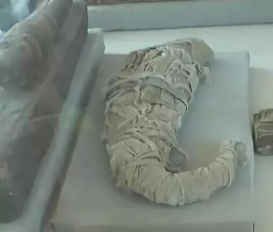 科学家发现逆转衰老基因疗法,新型基因治疗最新方案