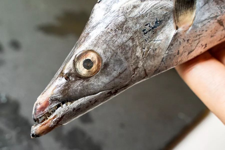 台湾评价吕四海鲜,吕四海鲜干货