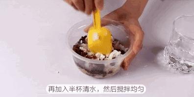 洗衣粉杀死蟑螂后蟑螂还会活吗,用洗衣粉喷蟑螂蟑螂会立马死吗