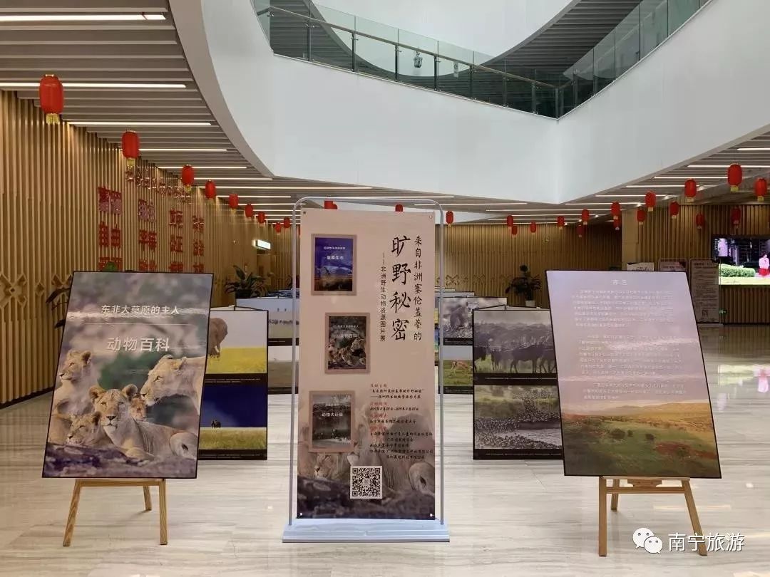 南宁有什么好玩的文旅活动 (南宁旅游美食节)